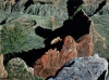 Colors of the Canyon by Rick Wheeler